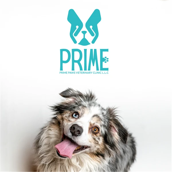 prime-logo